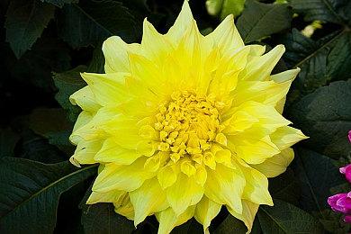 GOG喜加一：《成田男孩》 黑五特卖优惠开启